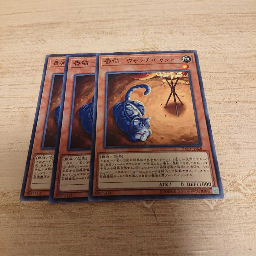 番猫ウォッチキャット