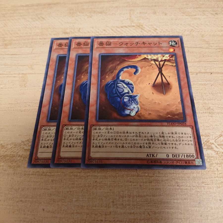 番猫ウォッチキャット