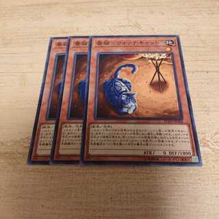 番猫ウォッチキャット