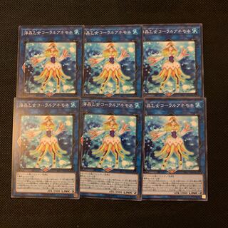 海晶乙女コーラルアネモネ