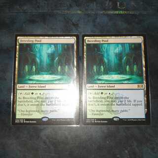 繁殖池　英語版 2枚セット