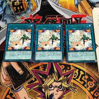 トリックスター・ブーケ 10 レア 3枚セット てら