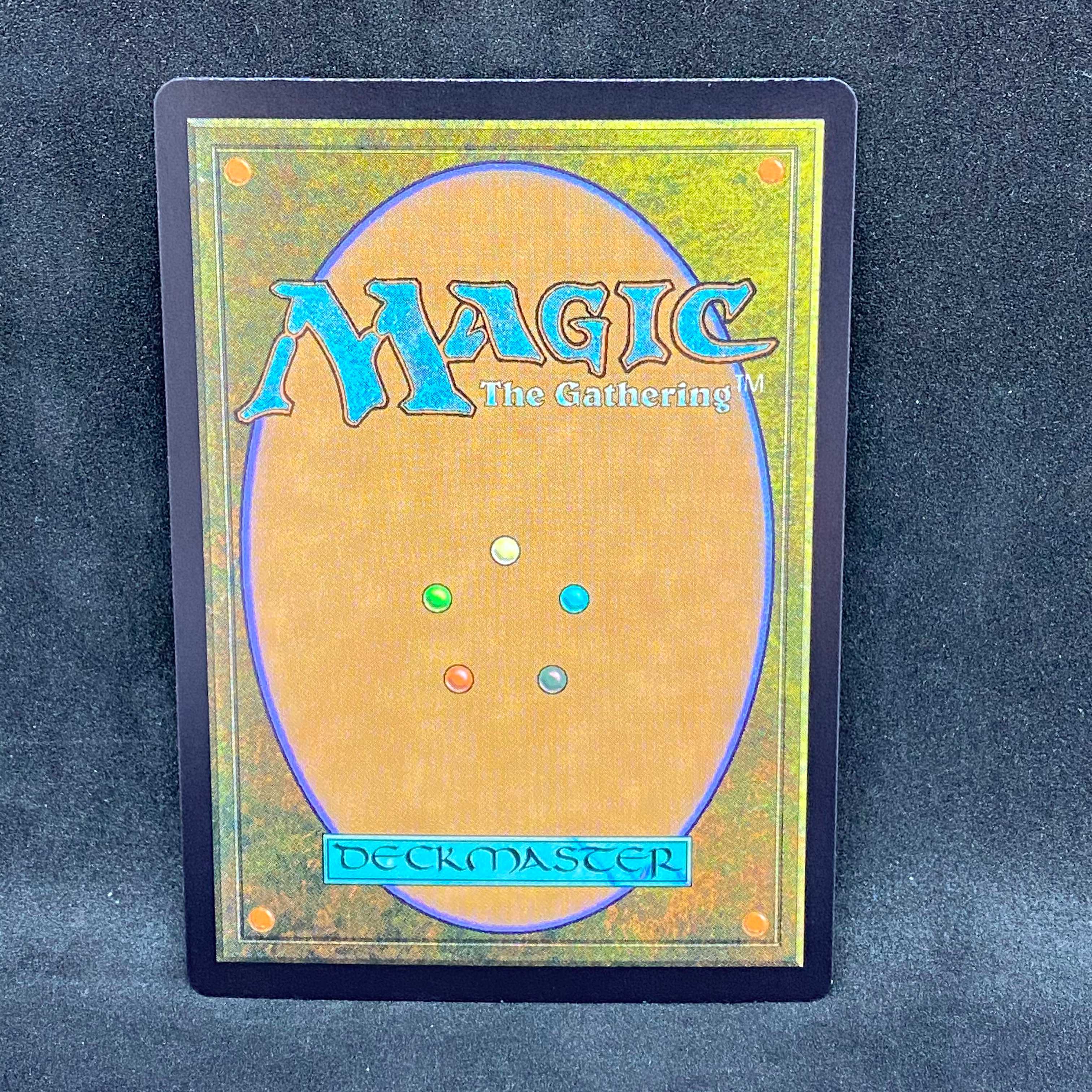 新たなる災厄、ベビーゴジラ(foil)@000998