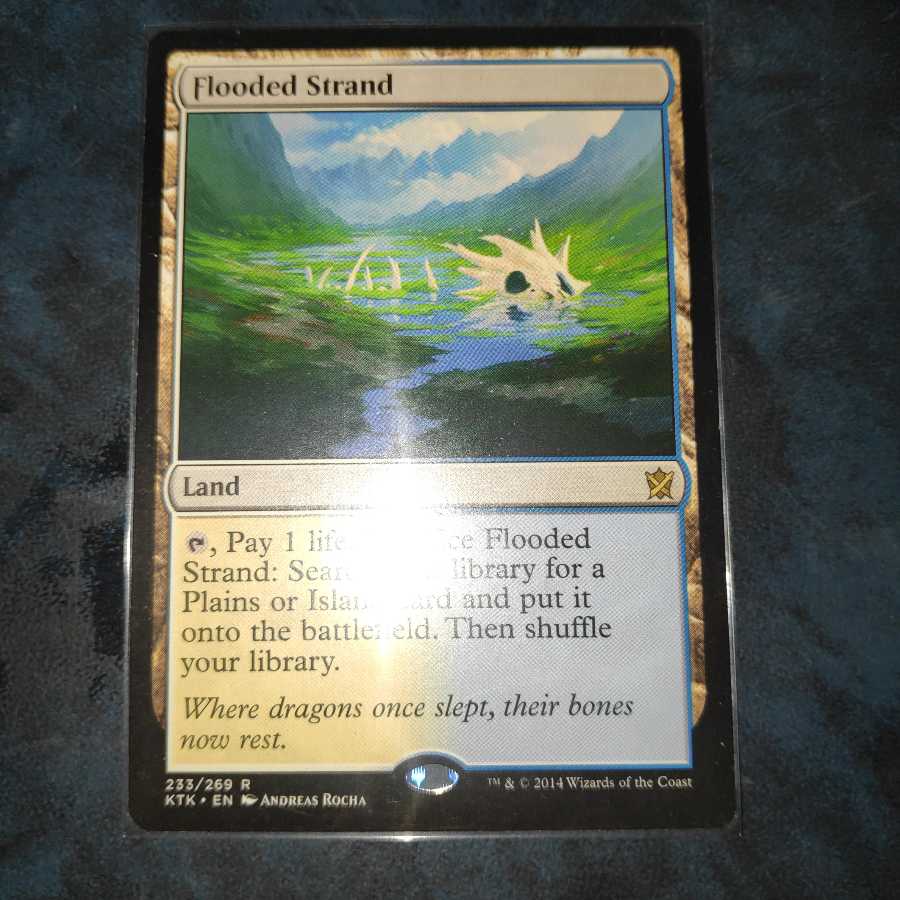 溢れかえる岸辺　英語版　1枚