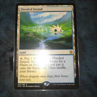 溢れかえる岸辺　英語版　1枚