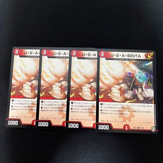 U・S・A・BINTA R 13/42