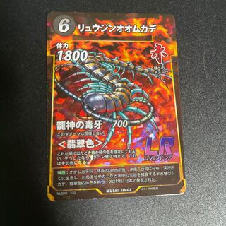 Rhizophora mucronata (species of centipede)