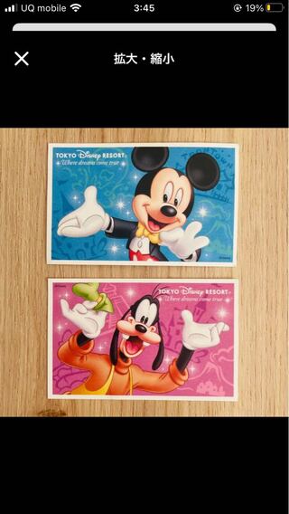 東京ディズニーリゾート 大人 1デーパスポート 使用済み