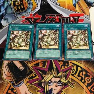 Secret Village of the Spellcasters 8 rare, set of 3 Tera.