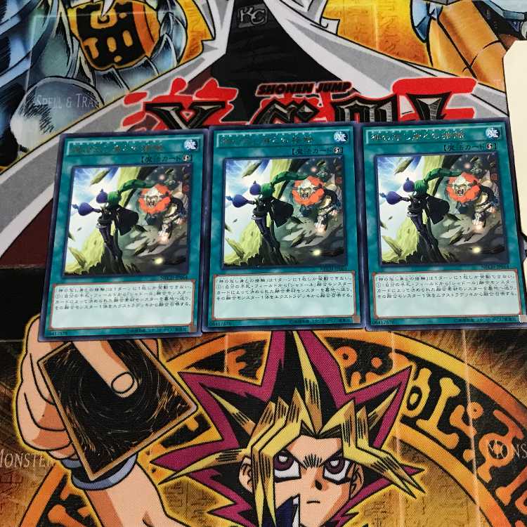 El Shaddoll Fusion 6 rare, set of 3 Tera.