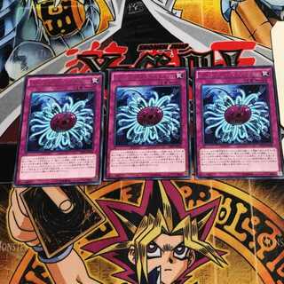 Paleozoic Dinomischus 4 rare, set of 3 Tera.