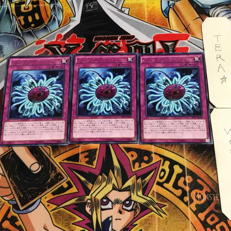 Paleozoic Dinomischus 5 rare, set of 3 Tera.