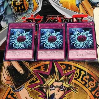 Paleozoic Dinomischus 7 rare, set of 3 Tera.