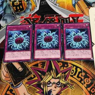 Paleozoic Dinomischus 8 rare, set of 3 Tera.