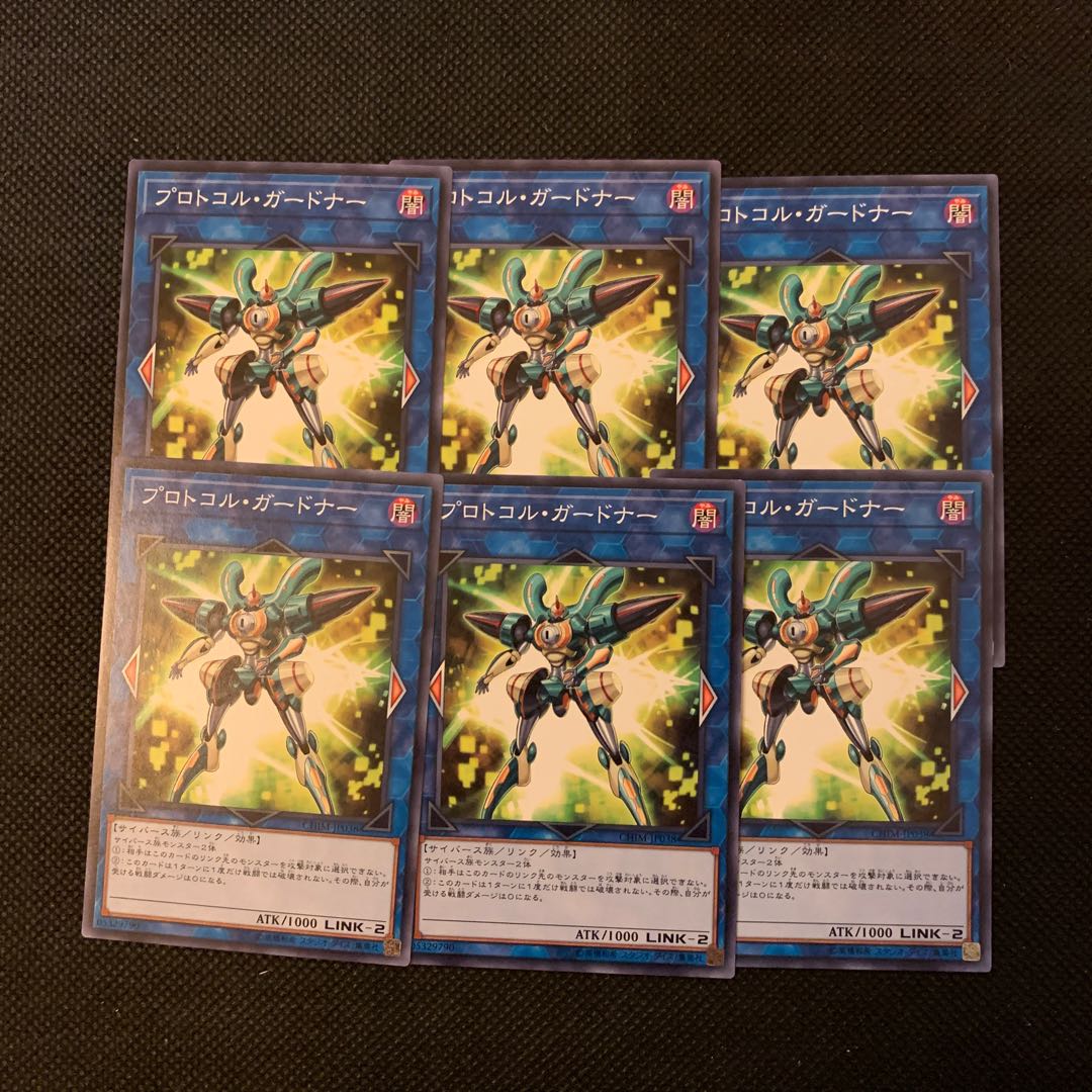 プロトコル・ガードナー