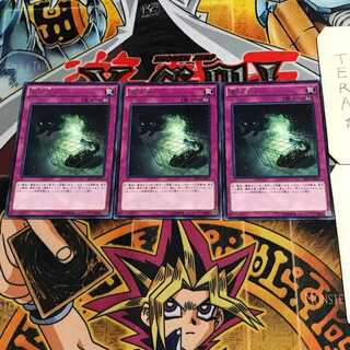 量子猫 6 レア 3枚セット てら