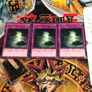 量子猫 8 レア 3枚セット てら