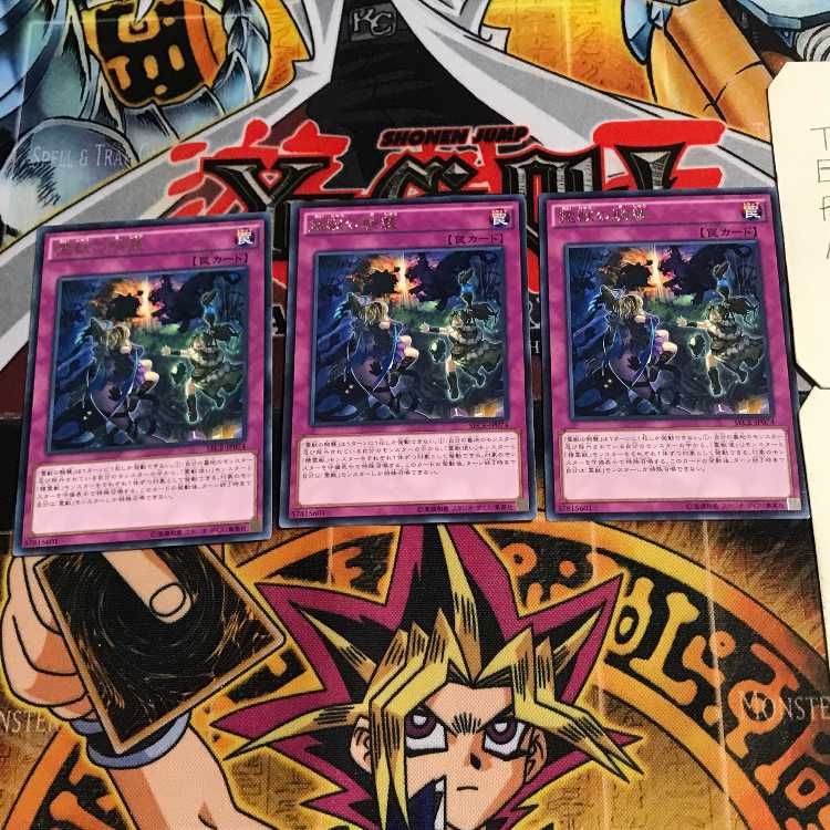 みな 様 専用 (Used) （691595639）| magi -TCG Marketplace- | magi