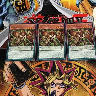 DD Griffon 6 rare, set of 3 Tera.