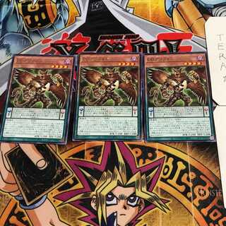 DD Griffon 7 Rare, set of 3 Tera.