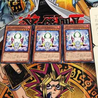 ZW-Asura Priest Deputy Arm 6 Rare Set of 3 Tera.