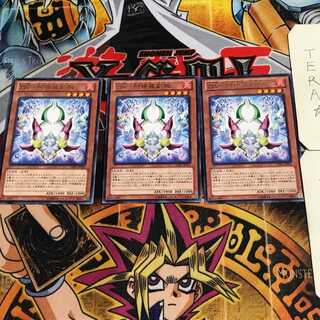 ZW-Asura Priest Deputy Arm 8 Rare Set of 3 Tera.