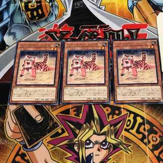 アマゾネスペット仔虎 6 レア 3枚セット てら