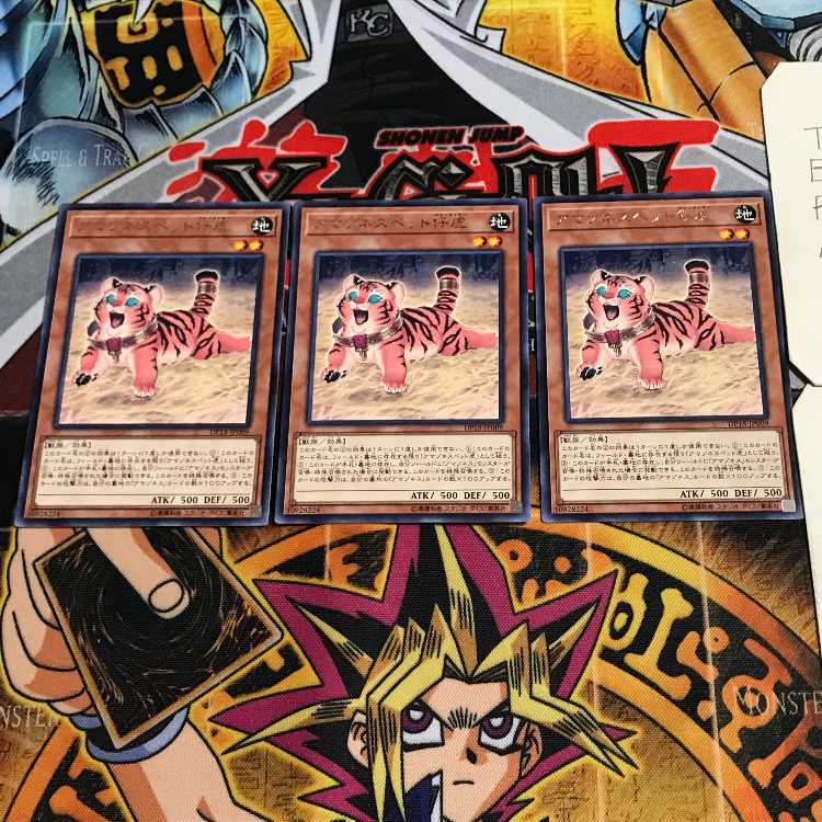 Amazoness Baby Tiger 7 Rare Set of 3 Tera.