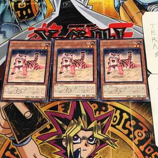 アマゾネスペット仔虎 8 レア 3枚セット てら