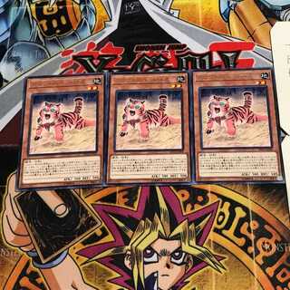 アマゾネスペット仔虎 10 レア 3枚セット てら