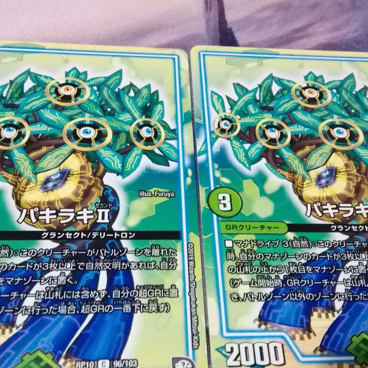 Pachiraki II C 96/103