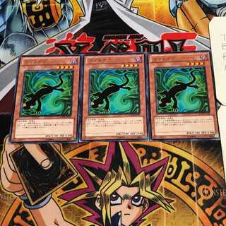 カゲトカゲ 6 レア 3枚セット てら