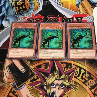 カゲトカゲ 9 レア 3枚セット てら