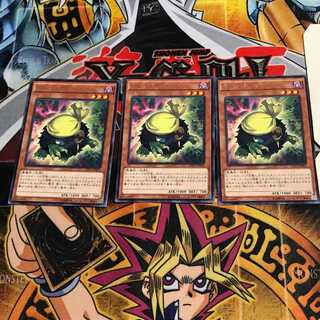 Kuribandit 8 rare, set of 3 tera