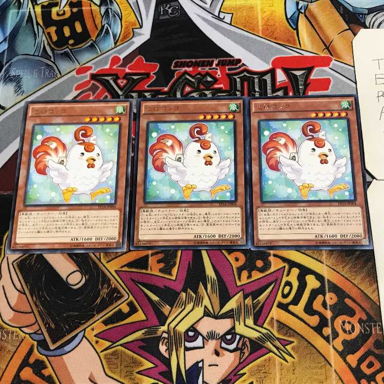 Cockadoodledoo 8 rare, set of 3 tera