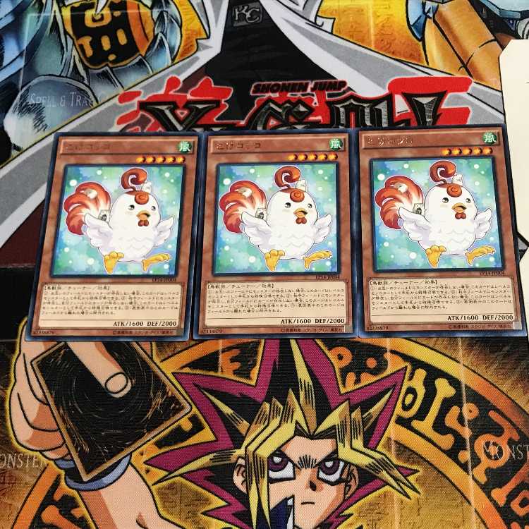 Cockadoodledoo 9 rare, set of 3 tera