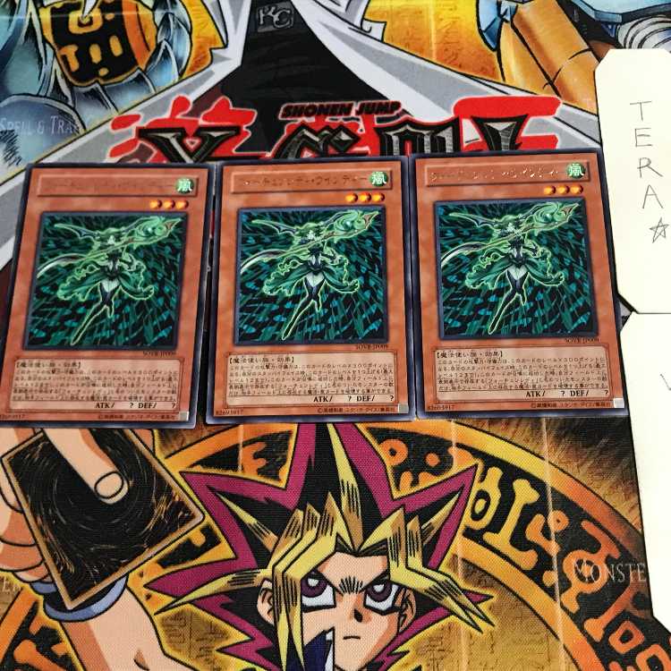 Fortune Lady Wind 10 rare, set of 3 Tera.