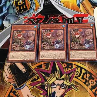 Floowandereeze & Robina 8 rare set of 3 tera