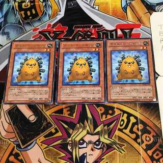 Quillbolt Hedgehog 6 rare, set of 3 Tera.