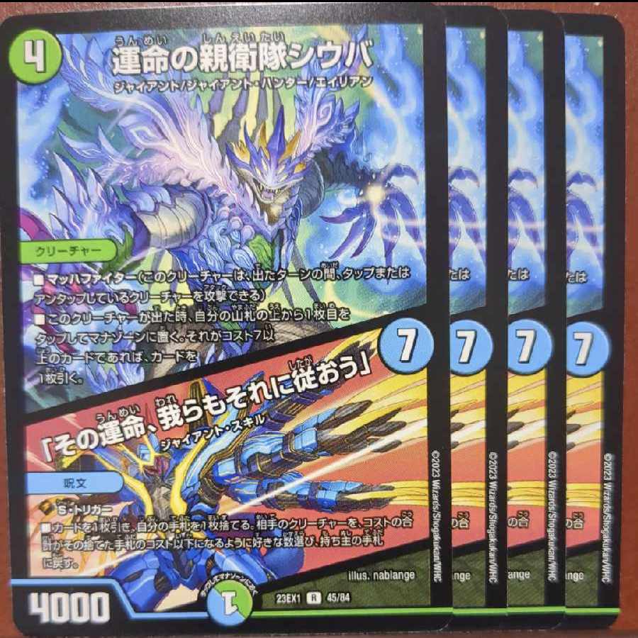 dvb set discount shiba, the SS of fate|"Its fate, we shall follow it" R 45/84