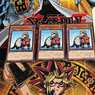 Rescue Ferret 7 rare, set of 3 Tera.