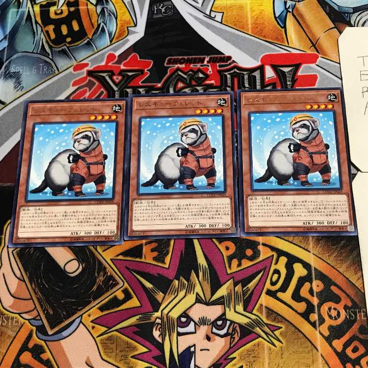 Rescue Ferret 8 rare, set of 3 Tera.