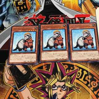 Rescue Ferret 9 rare, set of 3 Tera.