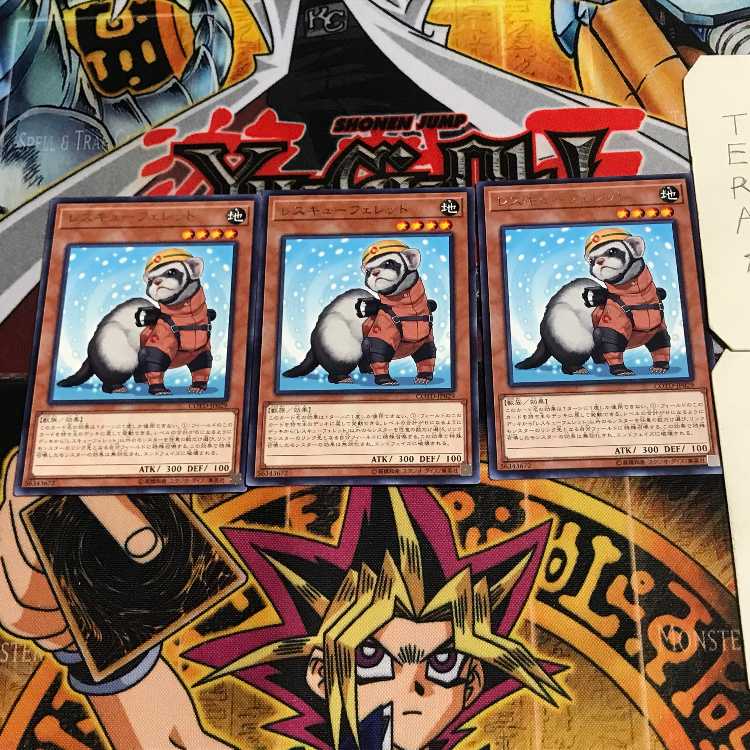 Rescue Ferret 10 rare, set of 3 Tera.