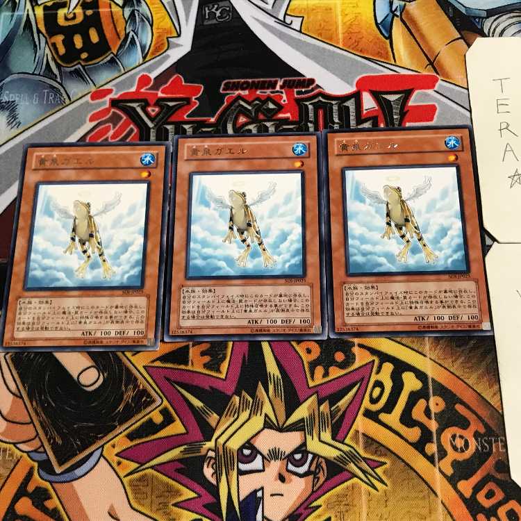 Treeborn Frog 9 rare, set of 3, tera.