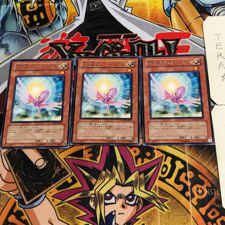 救世竜 セイヴァー・ドラゴン 6 レア 3枚セット てら