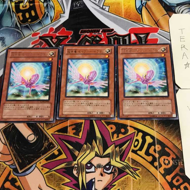 救世竜 セイヴァー・ドラゴン 8 レア 3枚セット てら