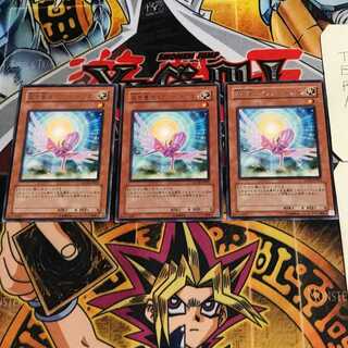 救世竜 セイヴァー・ドラゴン 9 レア 3枚セット てら