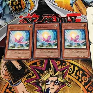 救世竜 セイヴァー・ドラゴン 10 レア 3枚セット てら