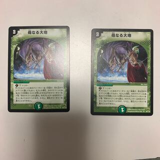 母なる大地　2枚セット